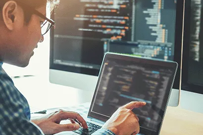 2020.2 for IT Services & Software Companies