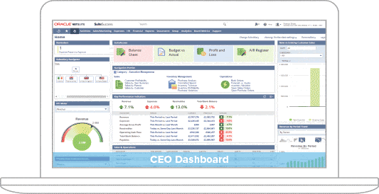 NetSuite CEO Dashboard example NetSuite CEO Dashboard example