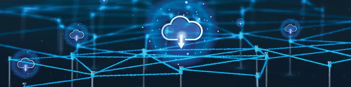 [Whitepaper] IT Executives Declare Need for True Cloud ERP