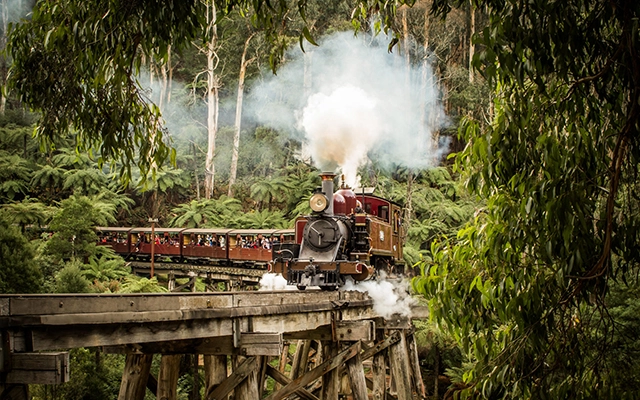 Puffing Billy Railway train at station