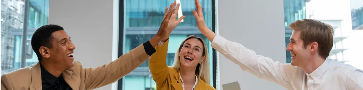 NetSuite vs Xero vs MYOB comparisons for Scaleups