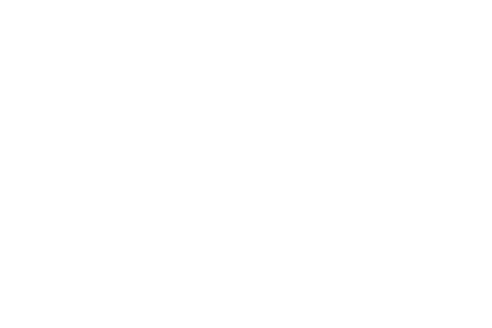 DMS Logo_white
