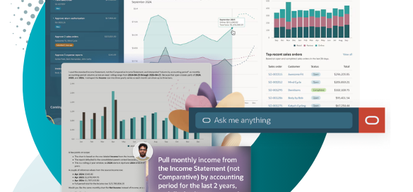 NetSuite 2026.2 · Why cleanup comes before AI